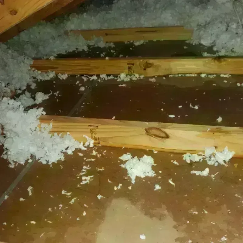 Attic Water Damage in Flora, IN